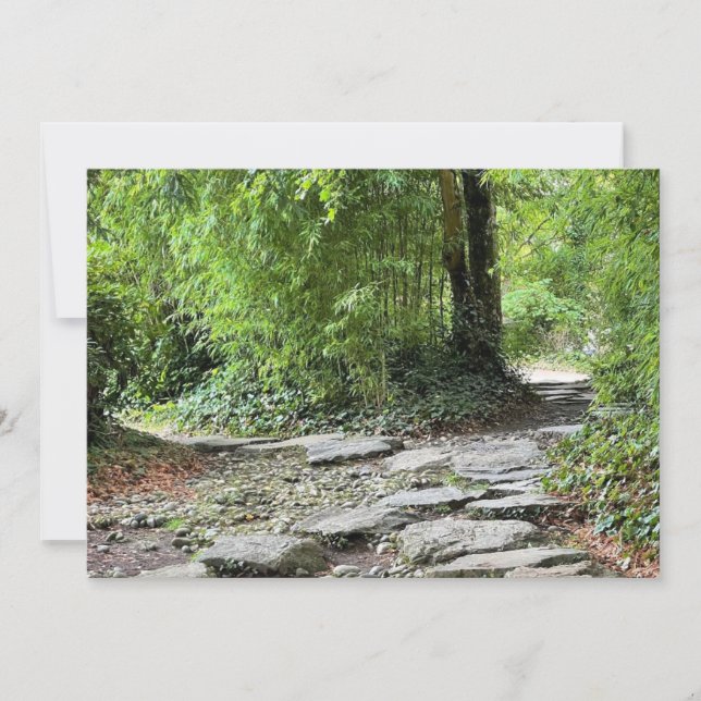 Les bambous (Frente)