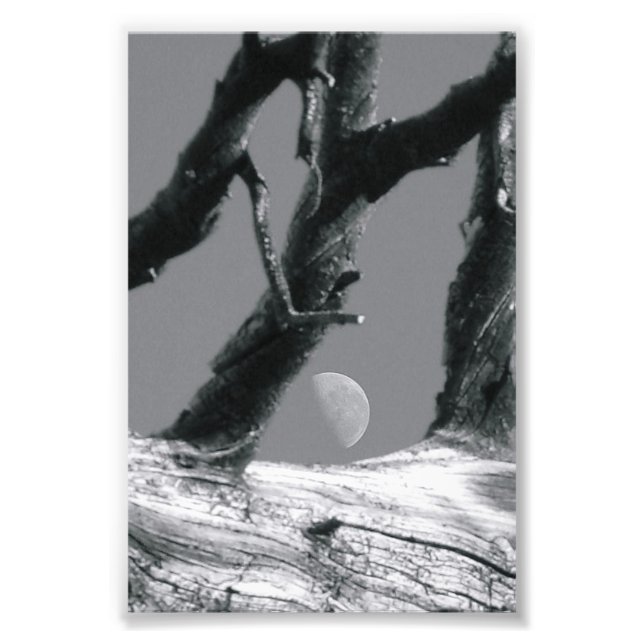 Letra alfabética Fotografia M7 Preta e branca 4x6 (Frente)