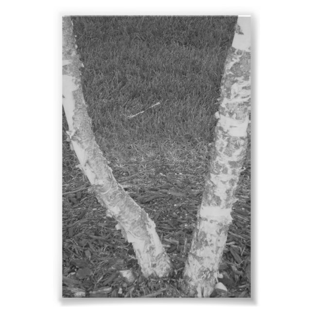 Letra alfabética Fotografia V3 Preta e Branco 4x6 (Frente)