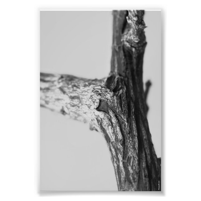 Letra alfabética Fotografia Y8 Preto e Branco 4x6 (Frente)