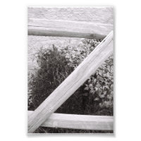 Letra alfabética Fotografia Z2 Preta e Branca 4x6