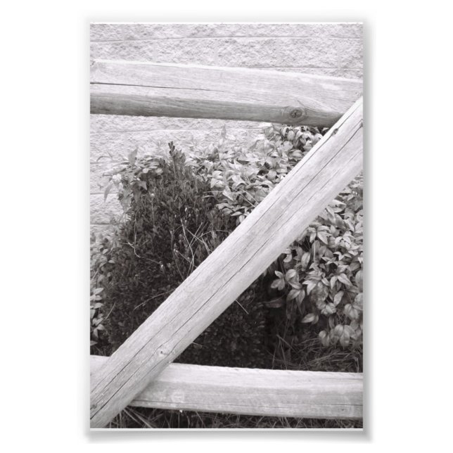 Letra alfabética Fotografia Z2 Preta e Branca 4x6 (Frente)