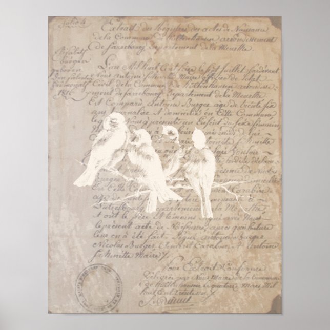 Letra Vintage e Poster de pássaro (Frente)