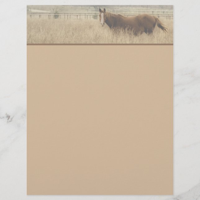 Letterhead Equestre (Frente)