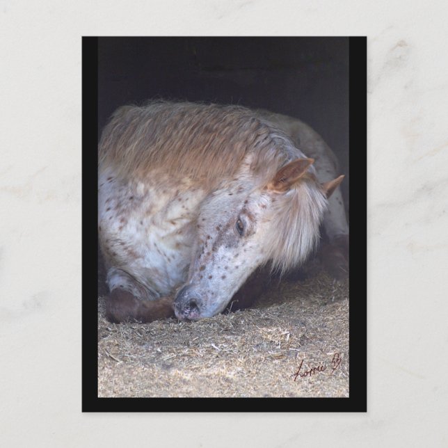 Levando um cartão postal fácil (Frente)