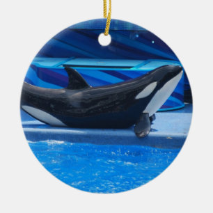 Levantando o ornamento da orca