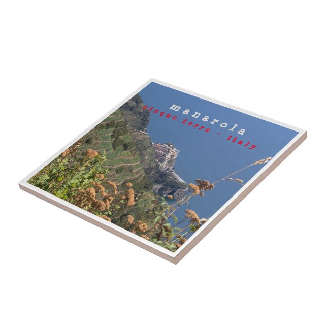 LGR011 MANAROLA - Cinque Terre - Italy -  (Lateral)