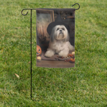 Lhasa Apso Abóboras Dia das Bruxas Assustador