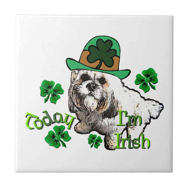 Lhasa Apso St Patricks (Frente)