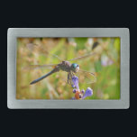 libélula de flor de lavanda<br><div class="desc">Dragonfly colorida Rainbow Dragonfly sobre uma flor rosa púrpura, Rainbow Dragonfly Blue Dragonfly sobre flores roxas. dragão, moscas, libélulas, libélulas, voando, dragões, insetos, insetos, jardim, natureza, crescimento, plantas, libélulas e damalquetes, coloridos, azuis, verdes, roxos, fuchsia, </div>