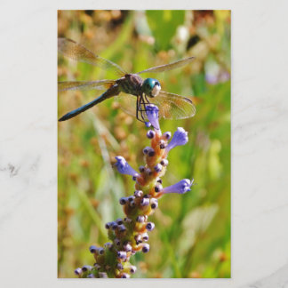 libélula de flor de lavanda