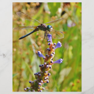 libélula de flor de lavanda