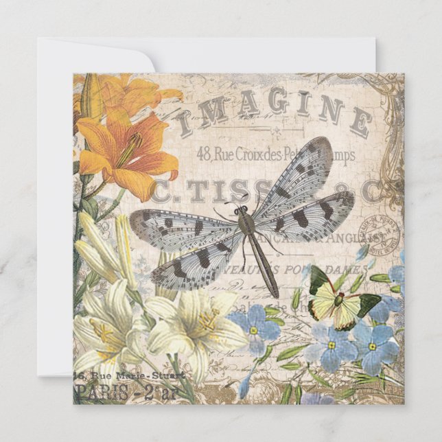 libélula francesa vintage moderna (Frente)