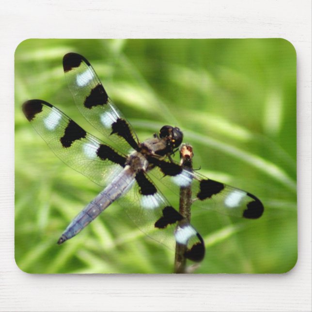 Libélula Mousepad (Frente)