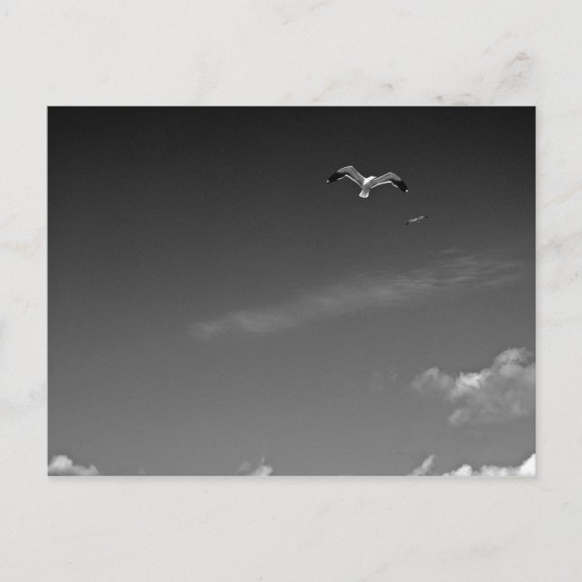 Liberdade em cartão postal PB (Frente)