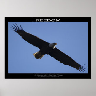 LIBERDADE ~ Poster motivacional