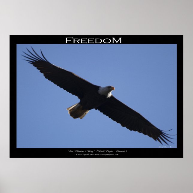 LIBERDADE ~ Poster motivacional (Frente)