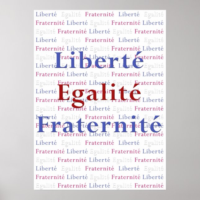 Liberte Egalite Fraternite Poster - Viva La France (Frente)