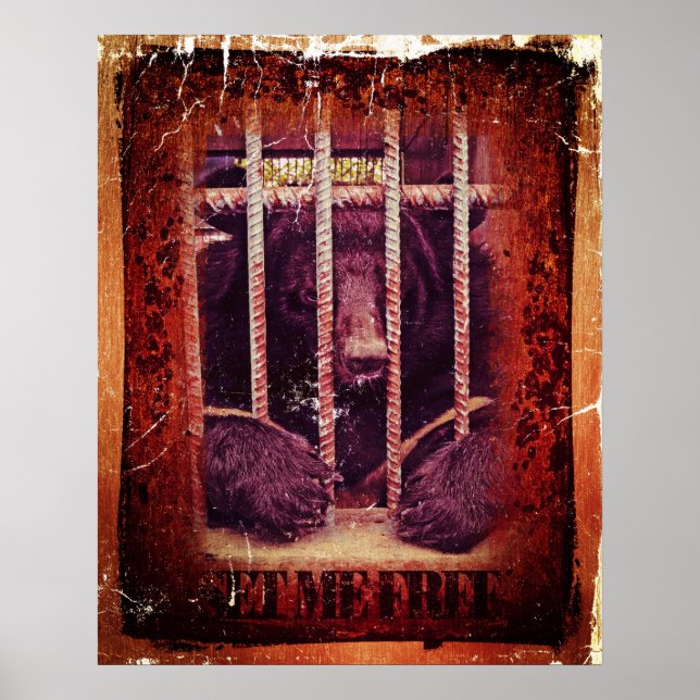 Liberte-me #2 - Poster (Frente)