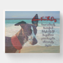 Lição De Vida Do Cão