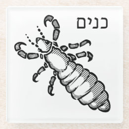 Lice Plague para Seder