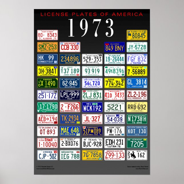 License Plates of America poster - 1973 (Frente)