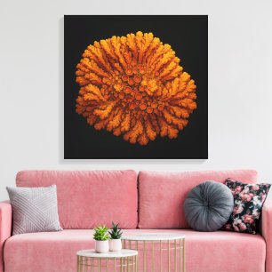 Lichen Composition - Canvas de Arte Impressão