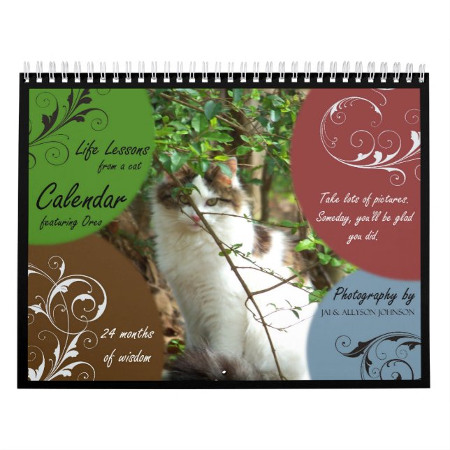 Lições da vida de um calendário do gato (Capa)