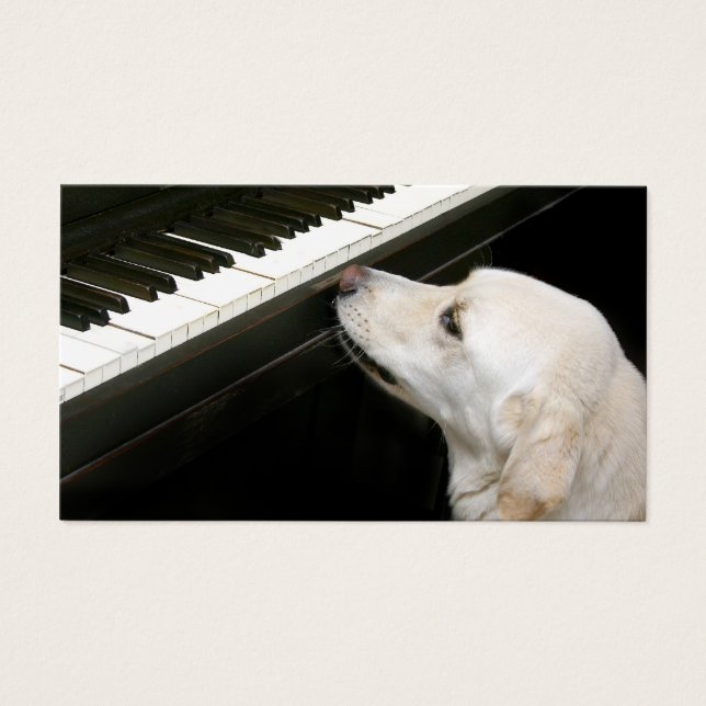 Lições de piano (Frente)