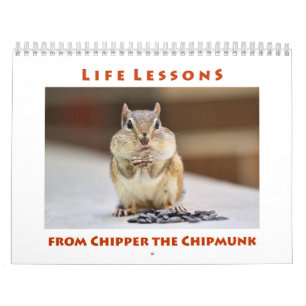 Lições de vida do chipset no calendário do chip