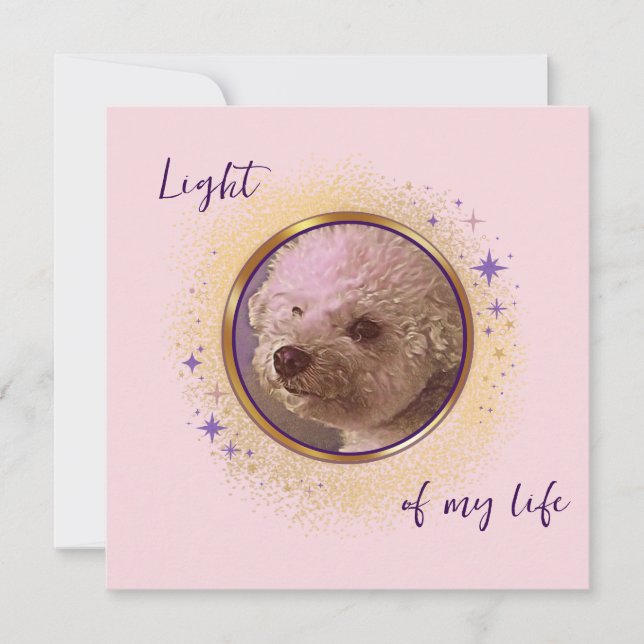 Light of My Light Card (Frente)
