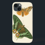 Lightly Bordered Butterfly Painting<br><div class="desc">A Vision Studio creation,  this lightly boarder painting depicts two beautiful butterflies gliding through the air. The execution of the painting makes the insects look amazingly lifelike. Grab a copy and put it on your wall!</div>