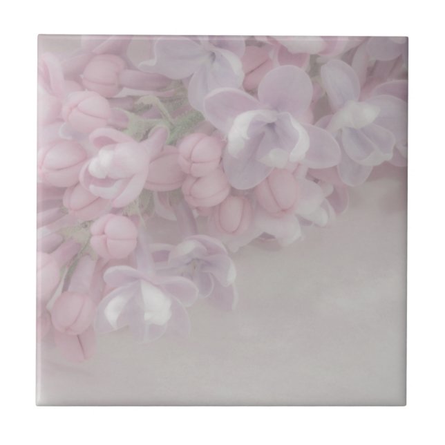 Lilac Blossom (Frente)