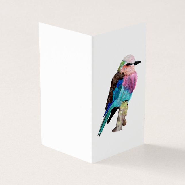 Lilac Brested Roller Bird (Exterior)