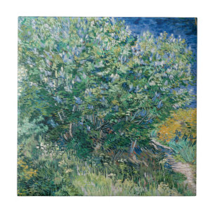 Lilac Bush (Lilacs) por Vincent van Gogh