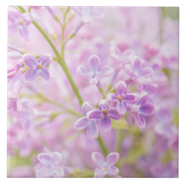 Lilac Flowers Mist (Frente)