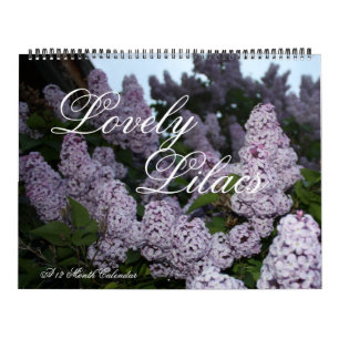 Lilacs bonitos calendário de 12 meses