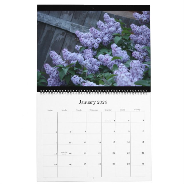 Lilacs bonitos calendário de 12 meses (Jan 2026)