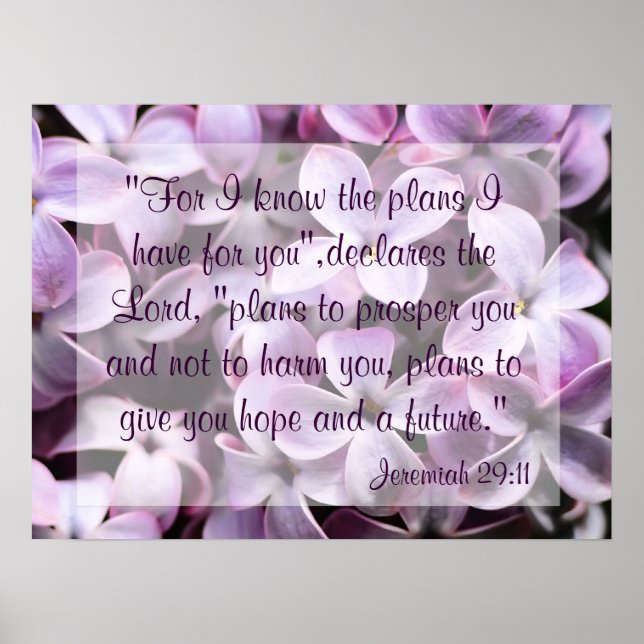 Lilacs Jeremiah 29:11 Poster (Frente)
