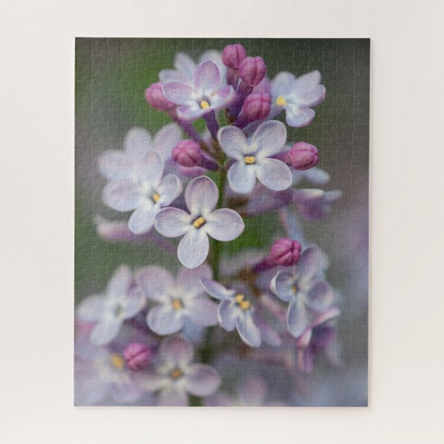 Lilacs Jigsee Quebra-cabeça (Vertical)
