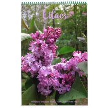Lilacs... TODOS LÍLACS! calendário fotográfico