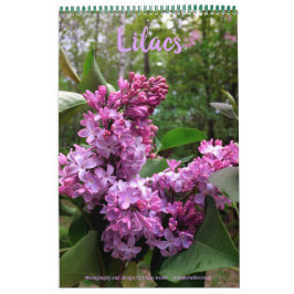 Lilacs... TODOS LÍLACS! calendário fotográfico