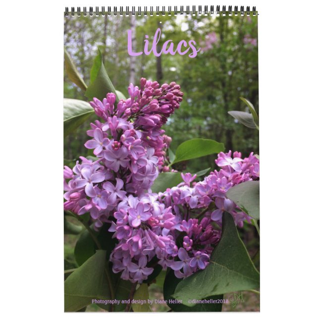 Lilacs... TODOS LÍLACS!  calendário fotográfico (Capa)