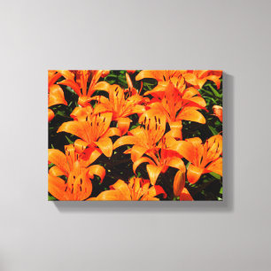 Lilases asiáticas laranja Impressão em tela