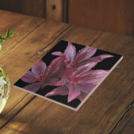 Lilases Asiáticas Vermelhas Escuras em Floral Pret