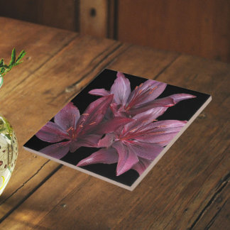 Lilases Asiáticas Vermelhas Escuras em Floral Pret