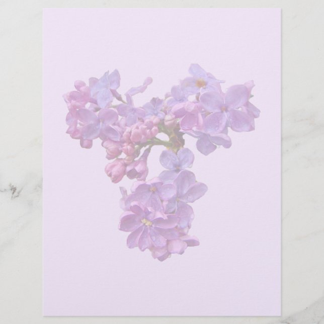Lilases em Springtime (Frente)