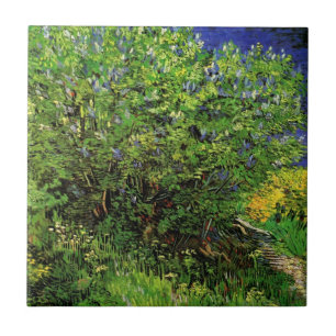 Lilases por Vincent van Gogh, Flores de Jardim Ant