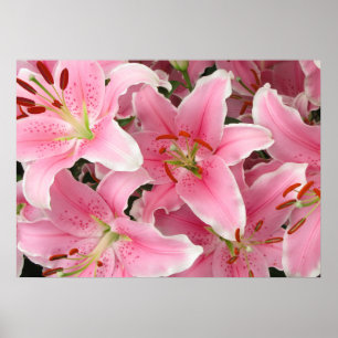 Lillies Poster