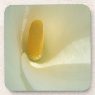 Lilly Porta copos